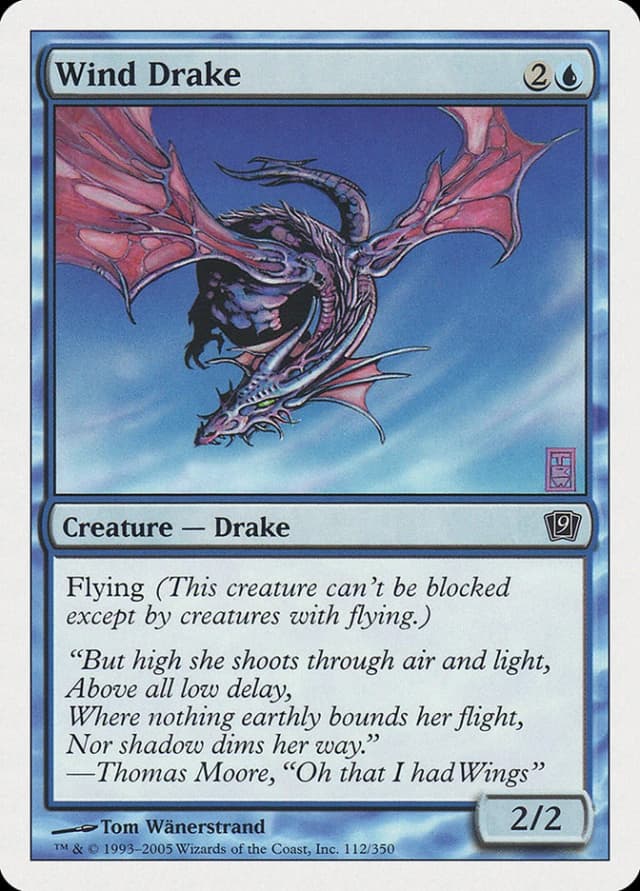 Wind Drake image
