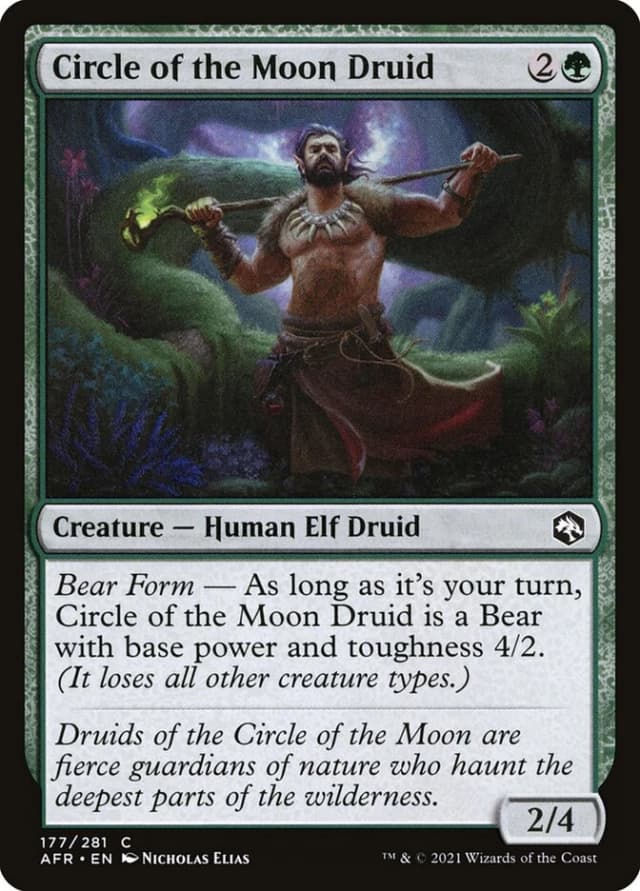 Circle of the Moon Druid image