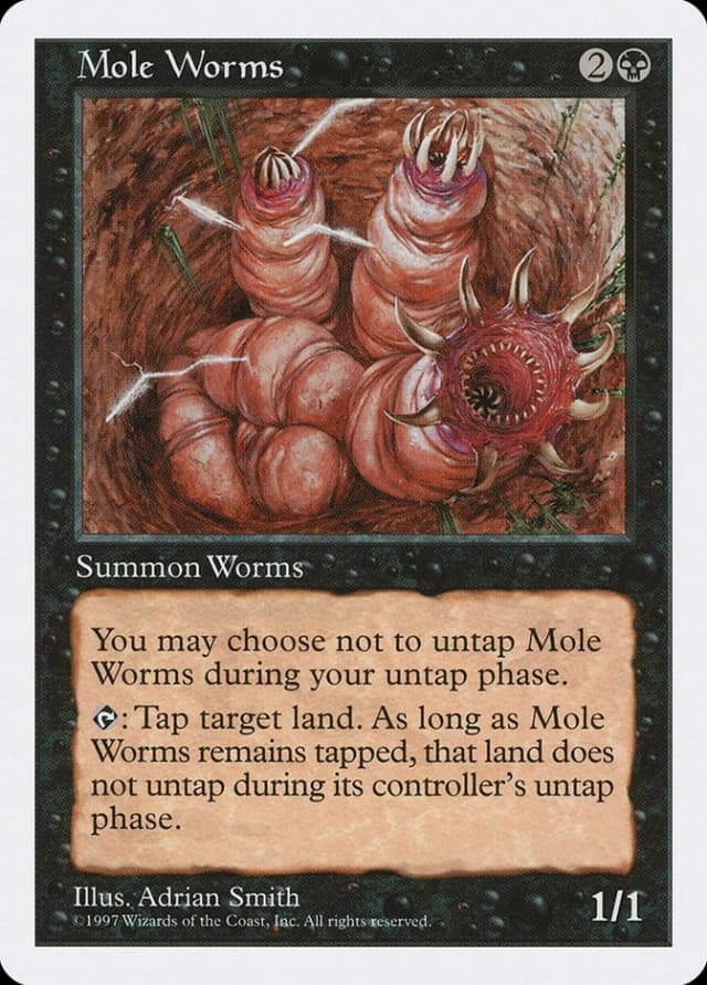 Mole Worms image