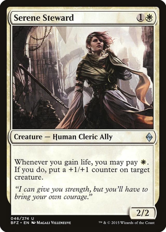 Serene Steward image