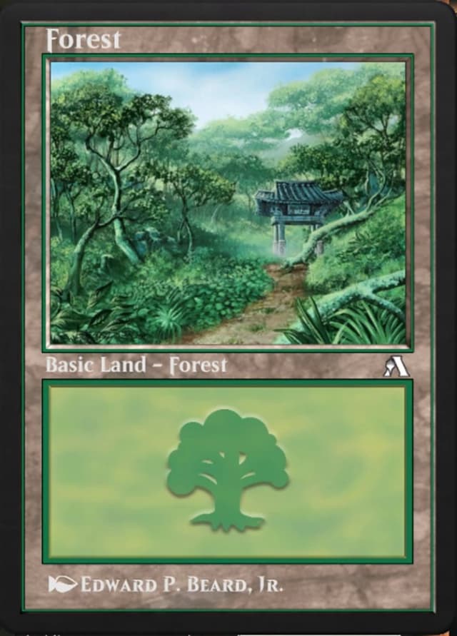 Forest image