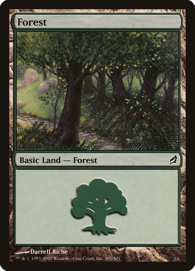 Forest image