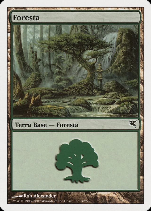 Forest image