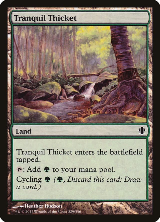 Tranquil Thicket image