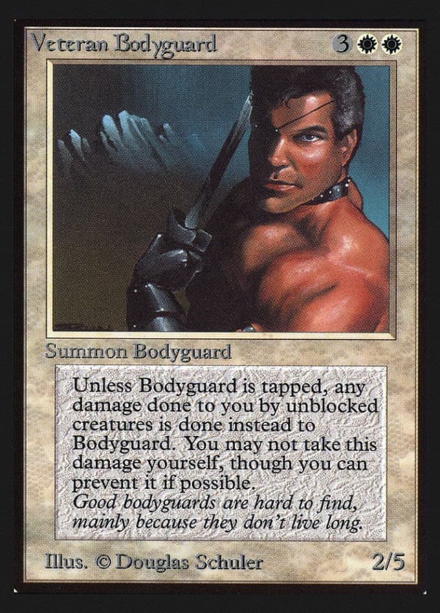 Veteran Bodyguard image