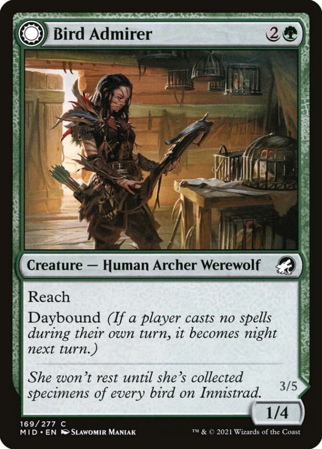 Bird Admirer // Wing Shredder image