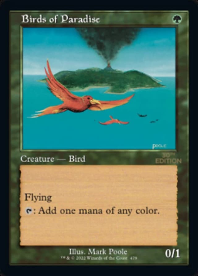 Birds of Paradise image