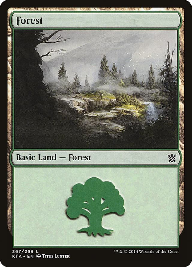 Forest image