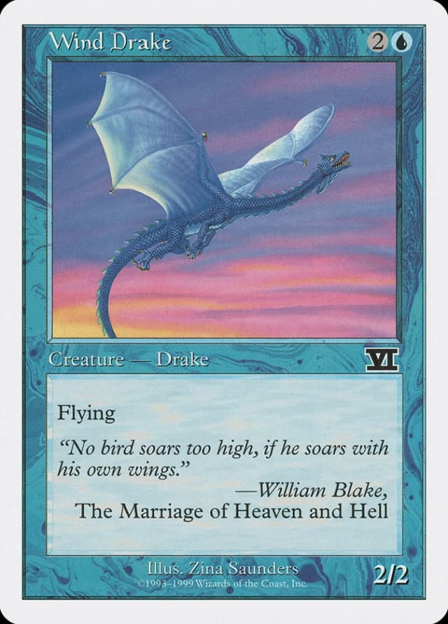 Wind Drake image