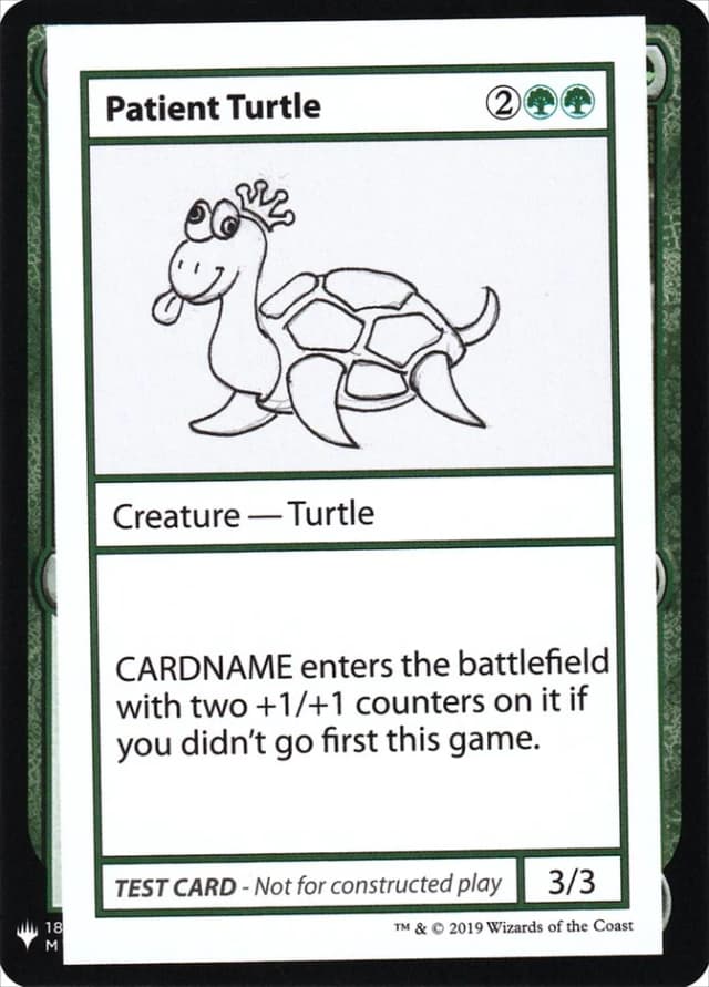 Patient Turtle image