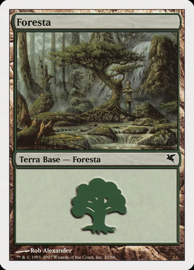 Forest image