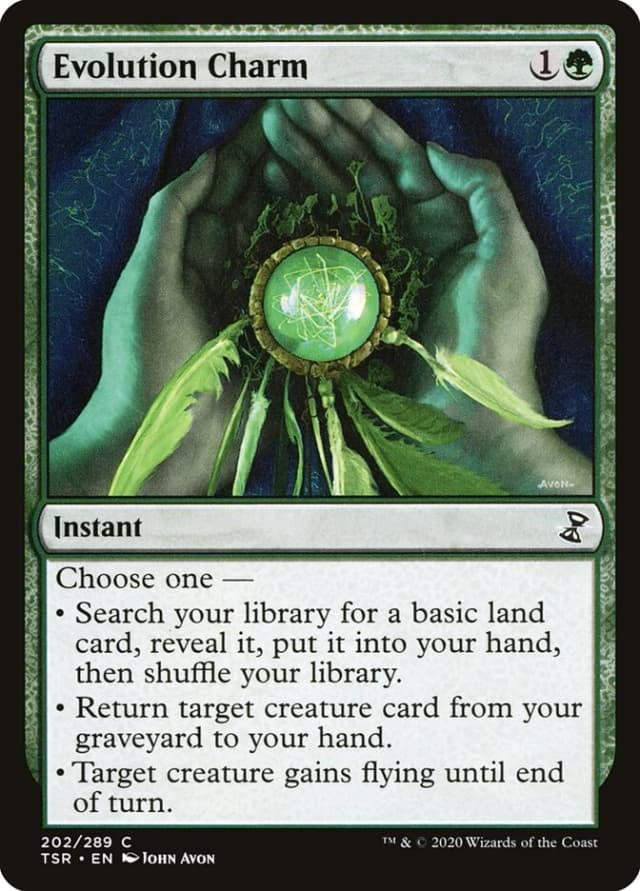 Evolution Charm image