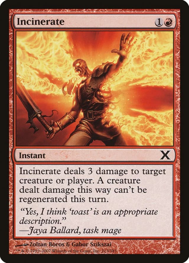 Incinerate image