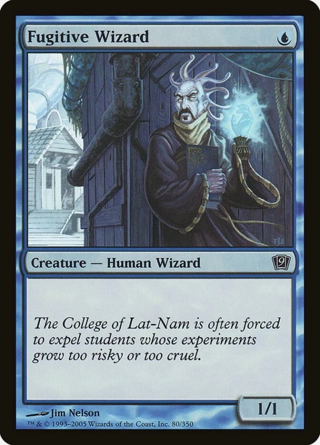 Fugitive Wizard image