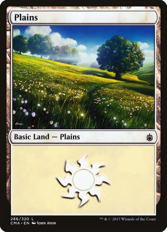 Plains image
