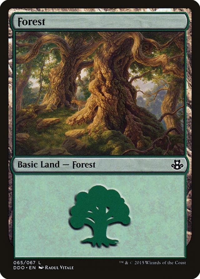 Forest image