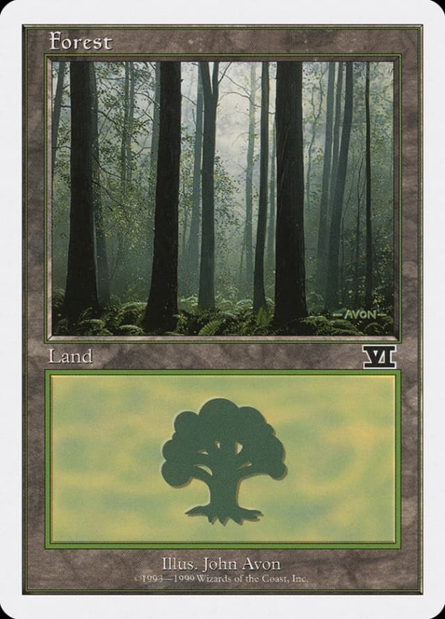 Forest image