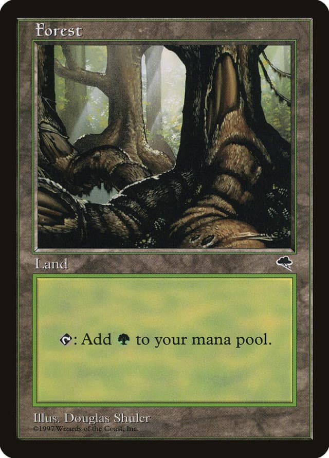 Forest image