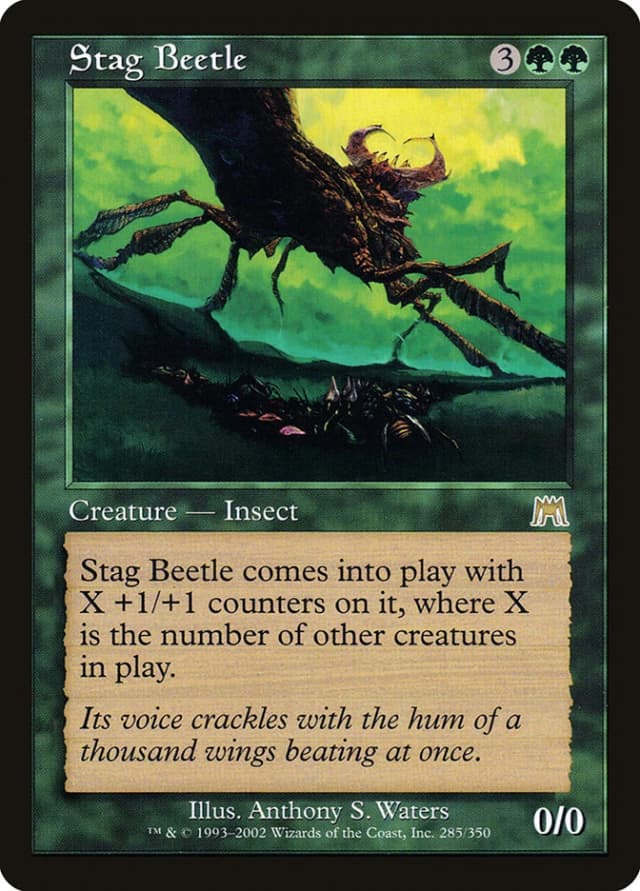 Stag Beetle image