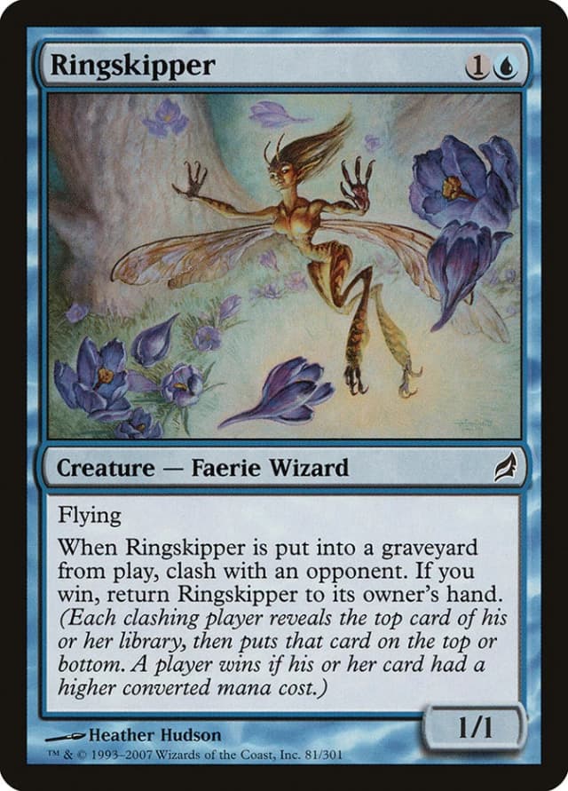 Ringskipper image