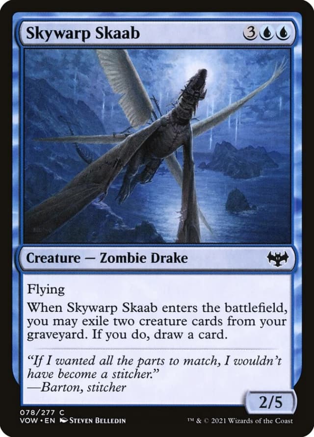 Skywarp Skaab image