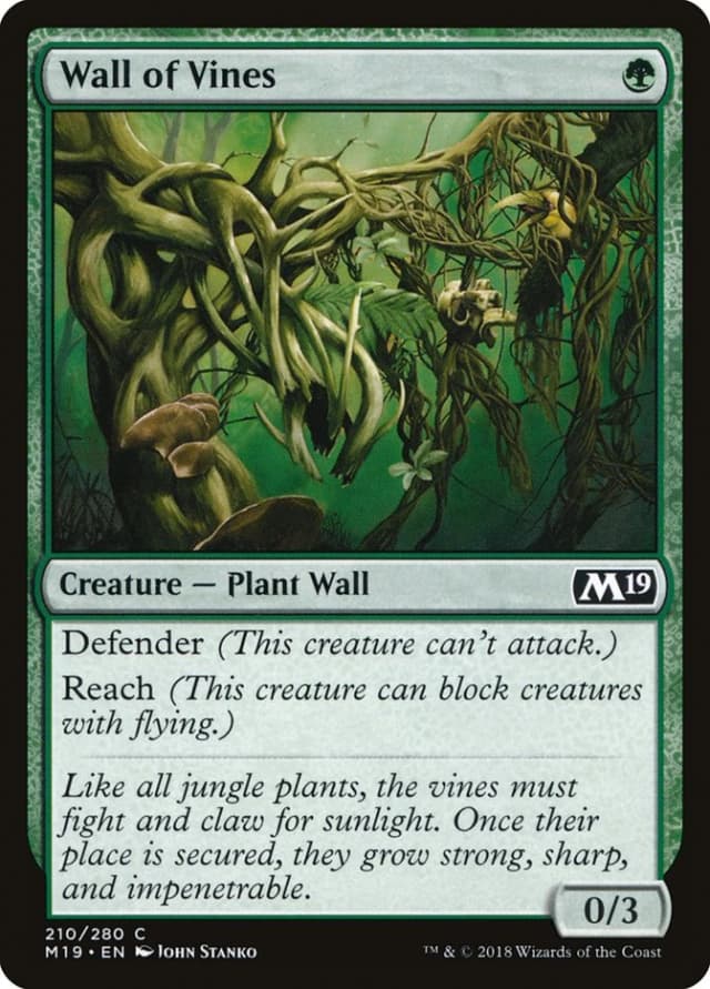 Wall of Vines image