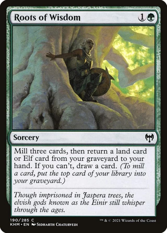 Roots of Wisdom image