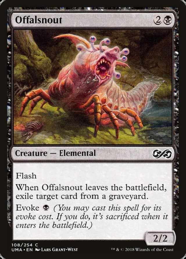 Offalsnout image
