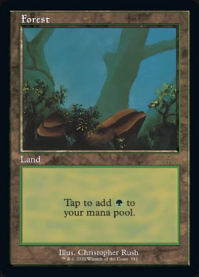 Forest image