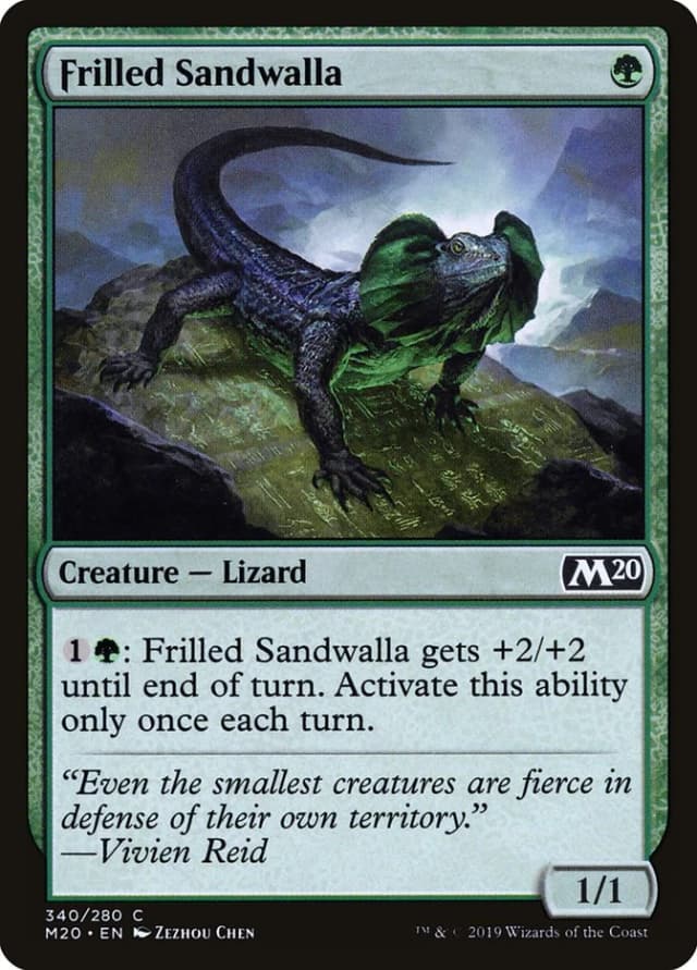 Frilled Sandwalla image