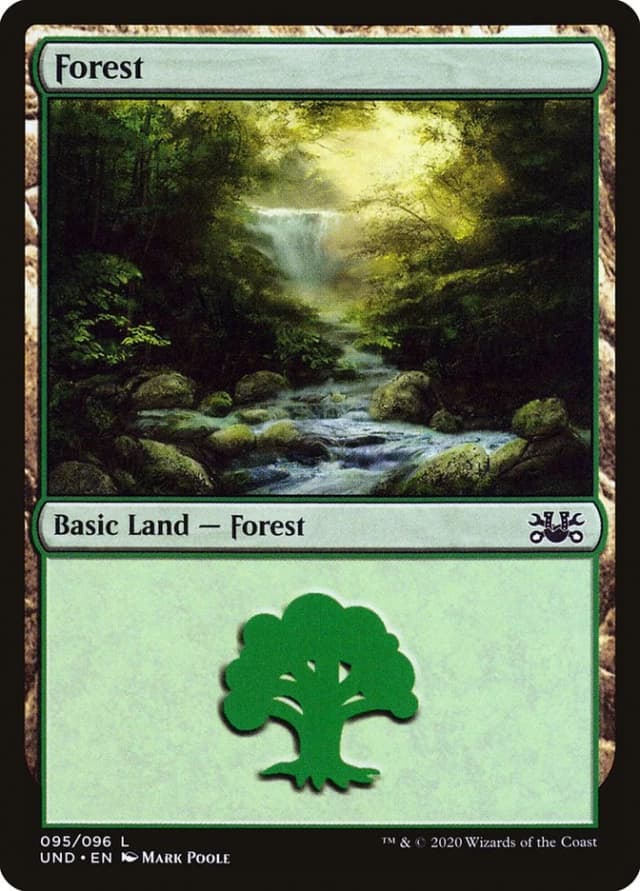 Forest image