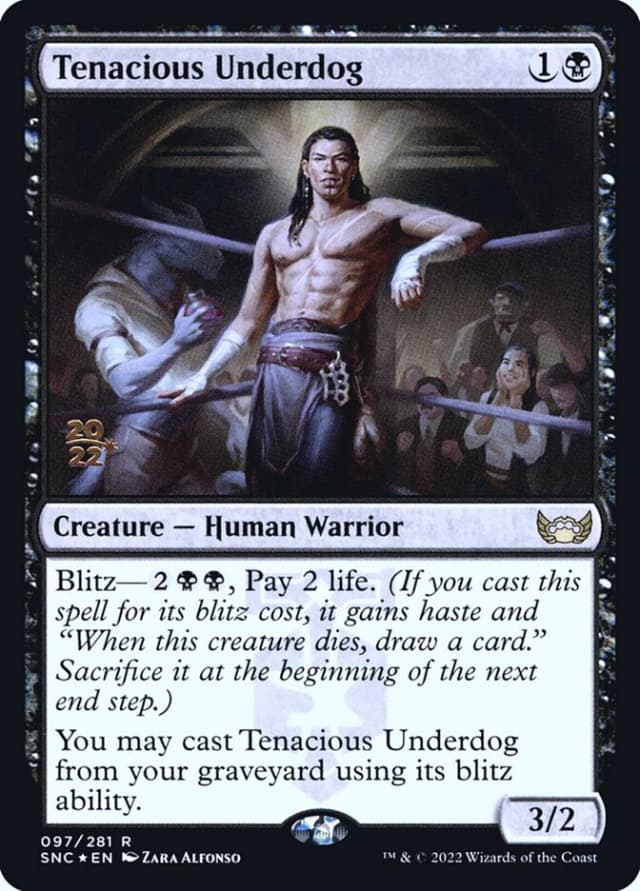 Tenacious Underdog image