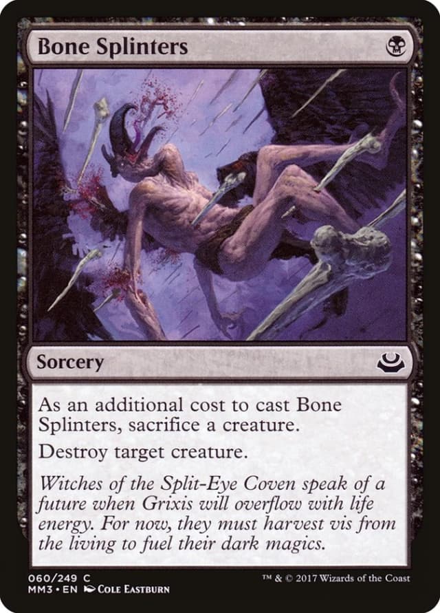 Bone Splinters image