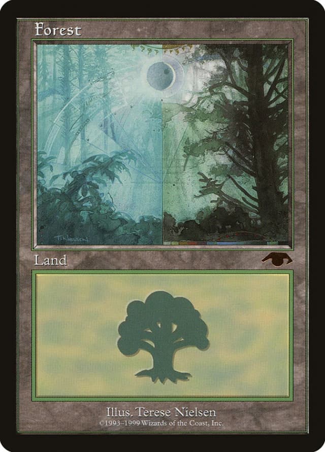 Forest image