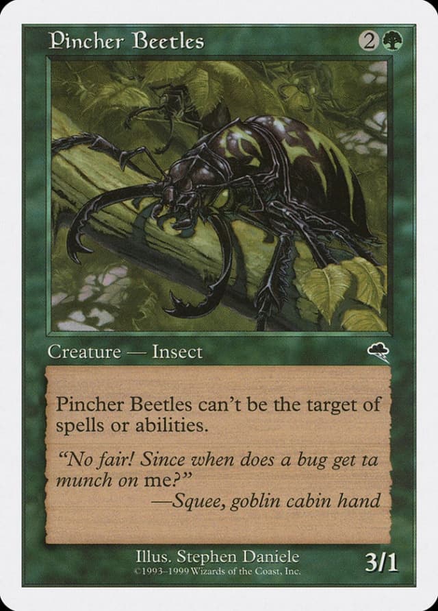 Pincher Beetles image