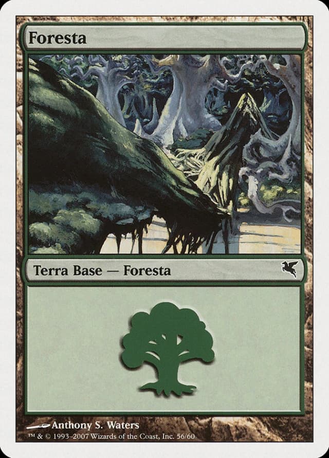 Forest image