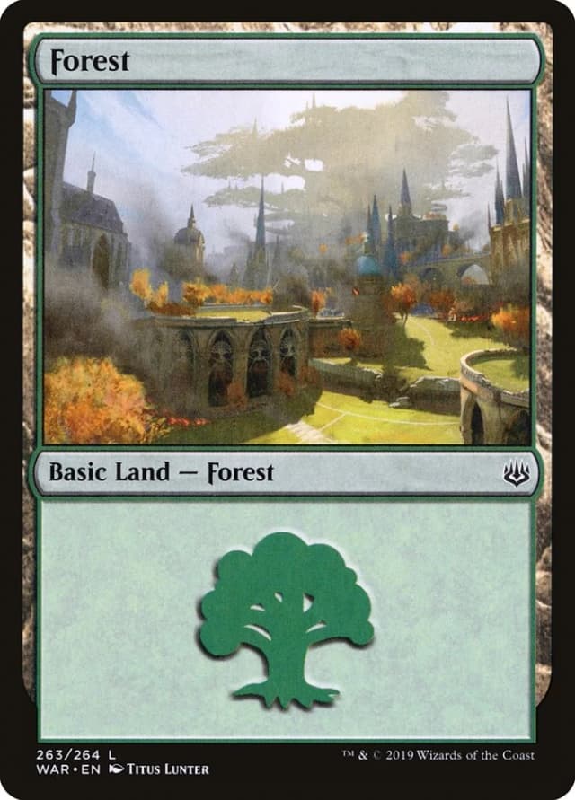 Forest image