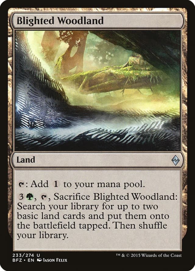 Blighted Woodland image