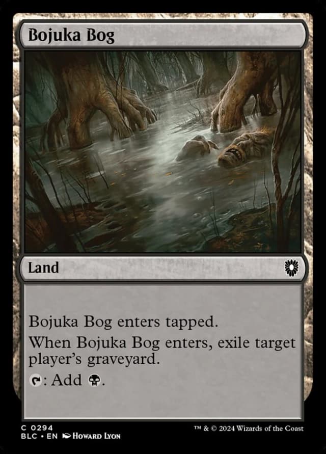 Bojuka Bog image