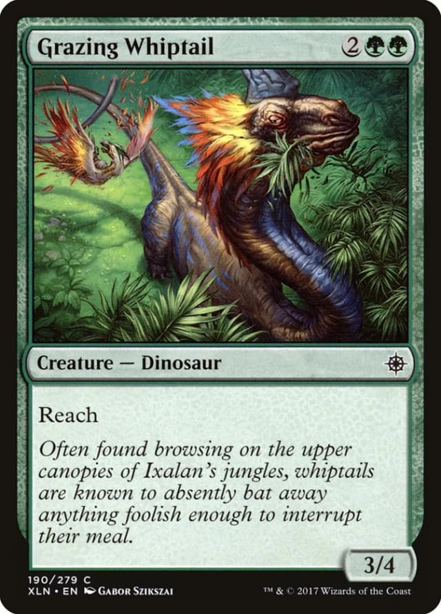 Grazing Whiptail image