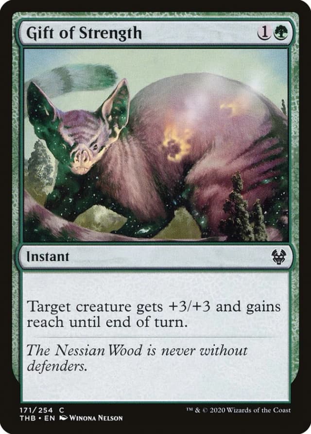 Gift of Strength image