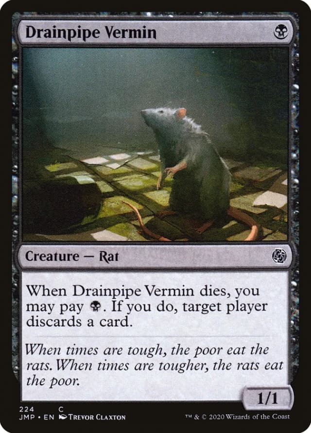 Drainpipe Vermin image