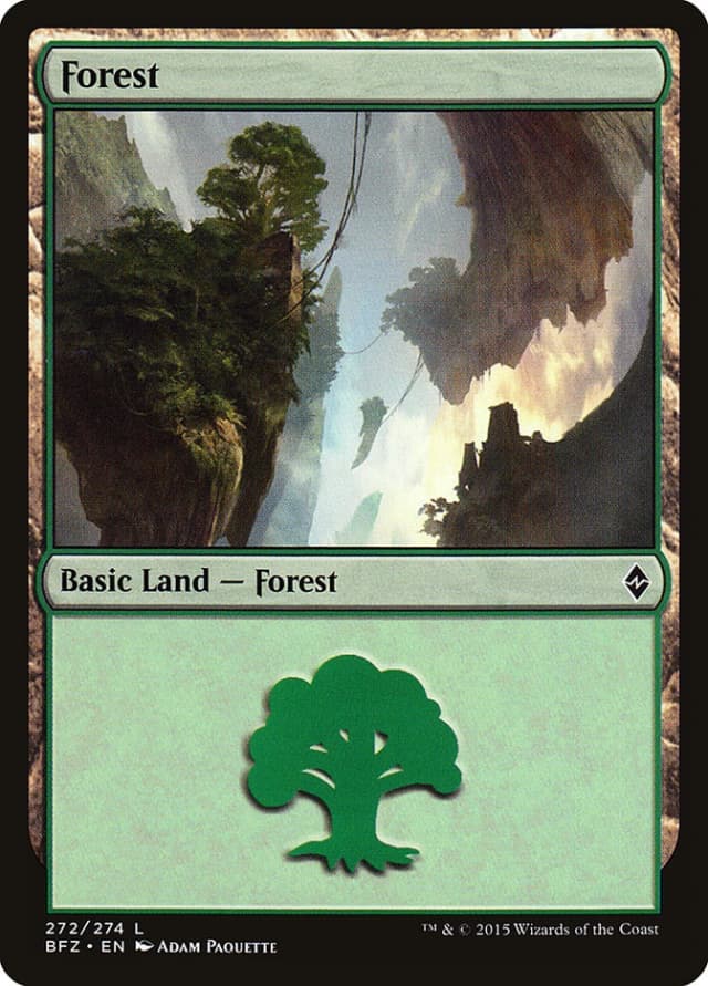 Forest image