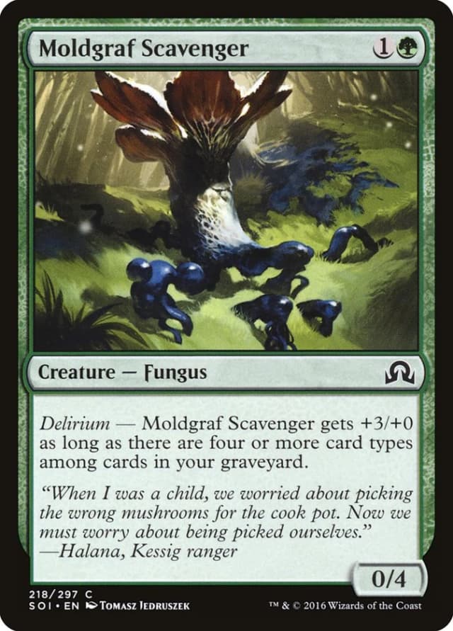 Moldgraf Scavenger image
