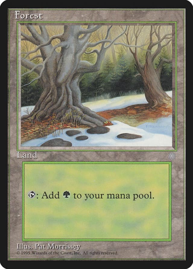 Forest image