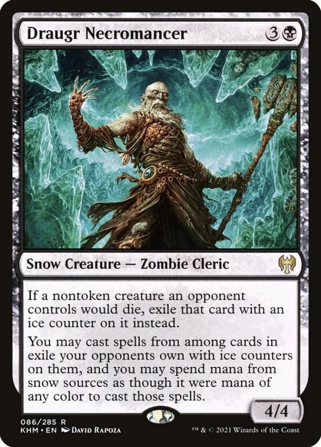 Draugr Necromancer image