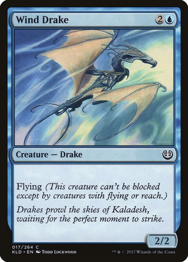 Wind Drake image