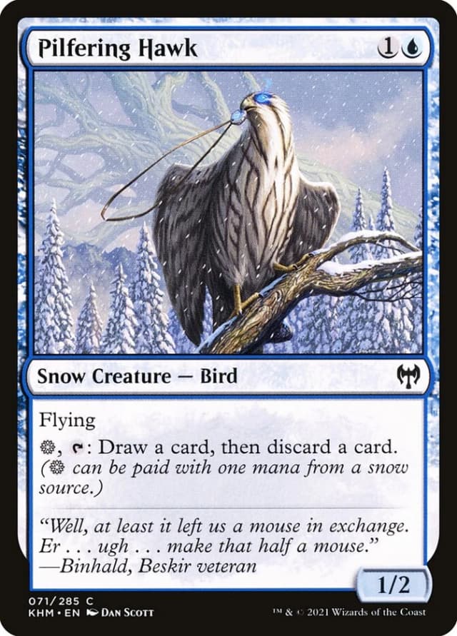 Pilfering Hawk image