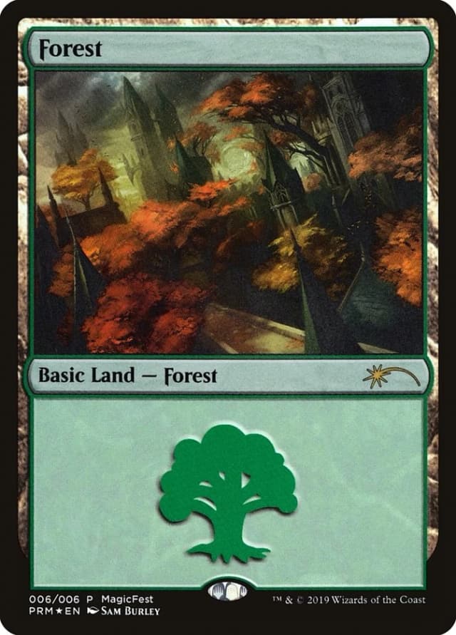 Forest image