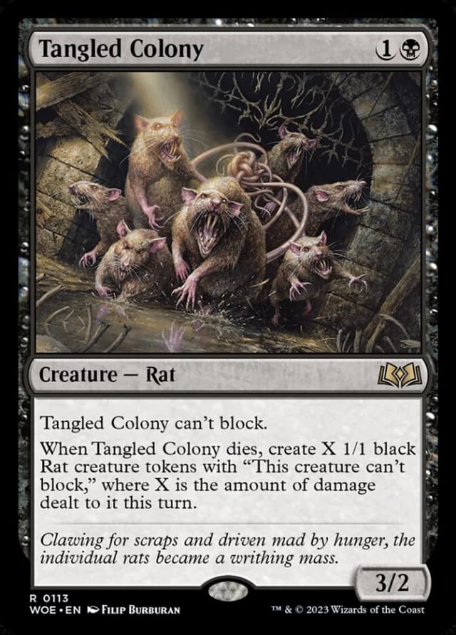 Tangled Colony image
